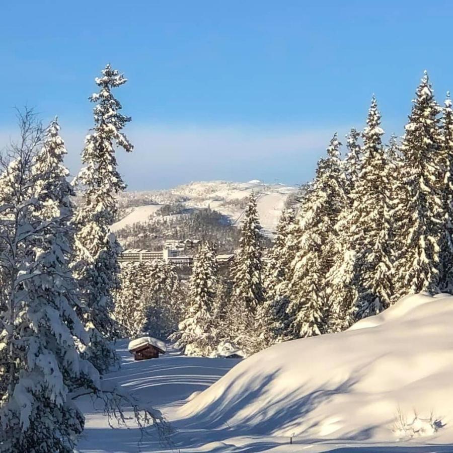 Leilighet Beitostolen Sentrum, Terrasse Og Innendors Parkering Buitenkant foto
